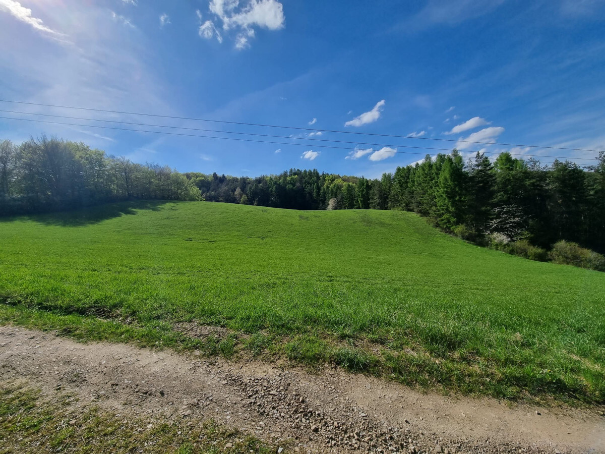 EXKLUZÍVNE - Veľké Pole, rozľahlý pozemok na samote - 16157m2 — foto 3
