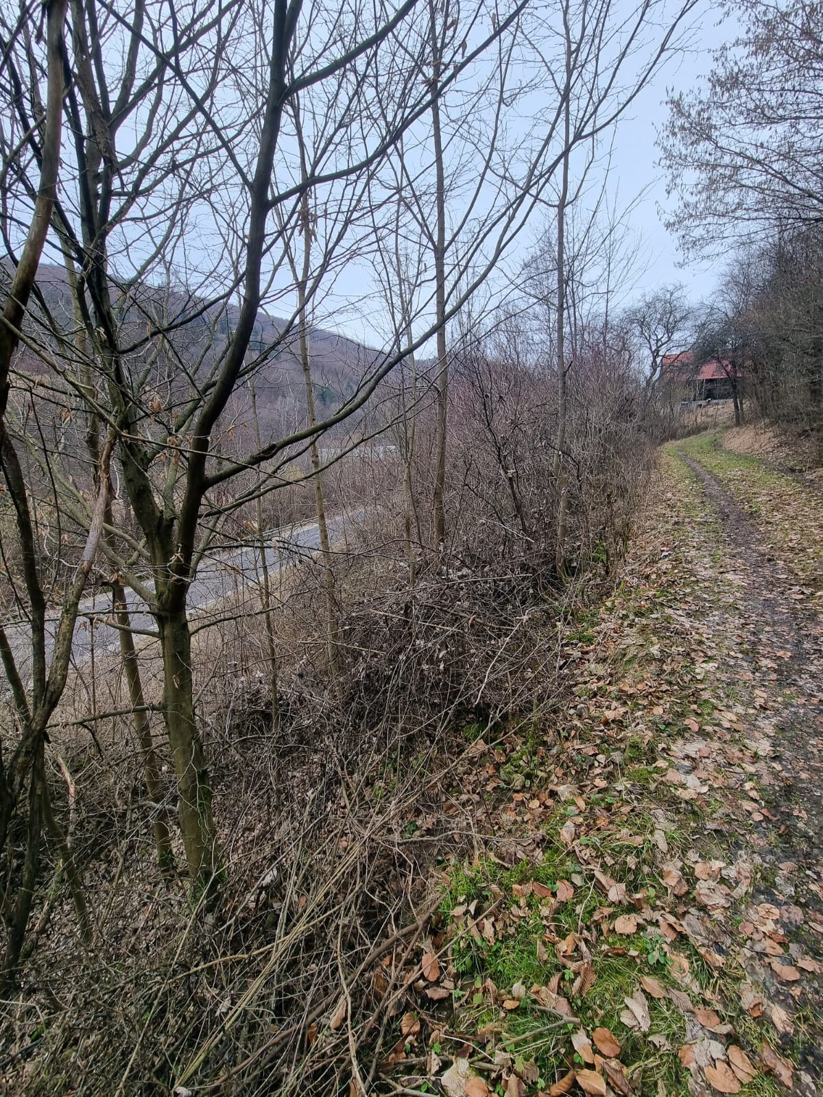 ZNÍŽENÁ CENA - Rekreačný pozemok - Horná Maríková - 1578m2 — foto 4