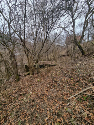 ZNÍŽENÁ CENA - Rekreačný pozemok - Horná Maríková - 1578m2 — foto 1