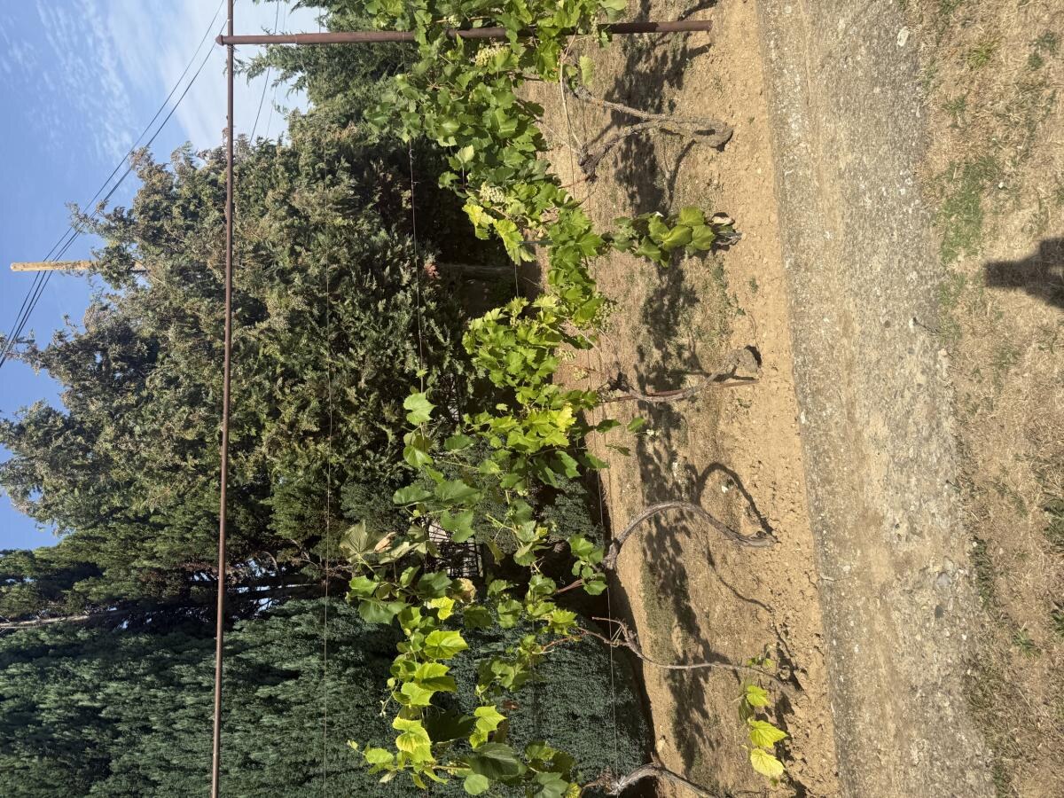 Znížená cena domu v Štitároch, s 10 árovou záhradou — foto 25