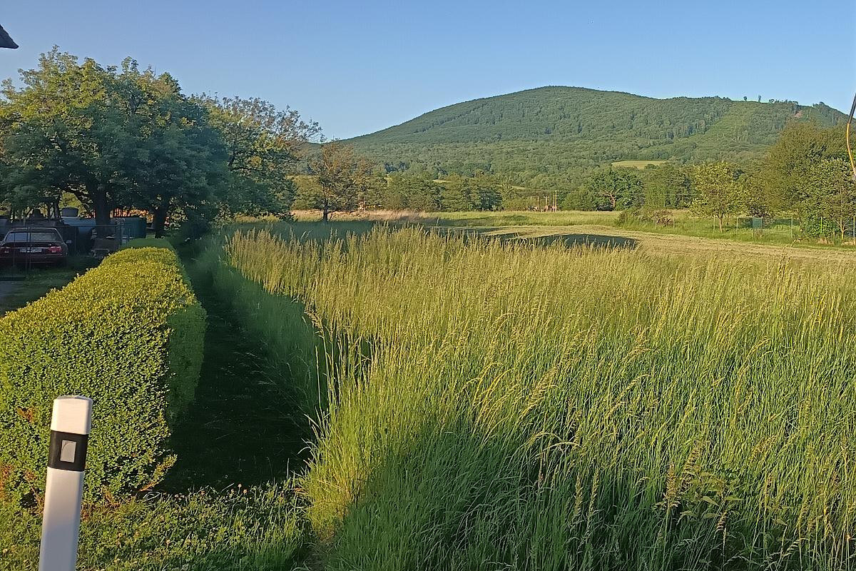 Predané: Slnečný stavebný pozemok s krásnym výhľadom len 4 km od Humenného — foto 3