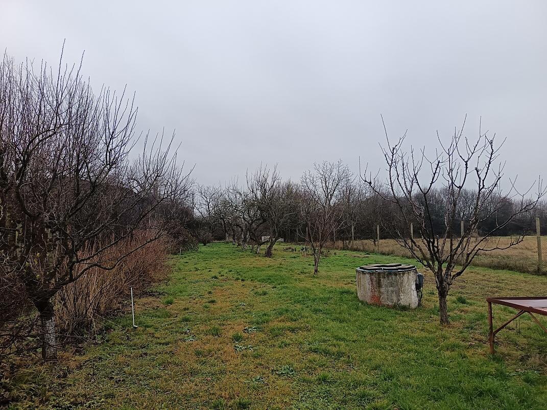 Rezervované - Rodinný dom pri Zemplínskej Šírave – priestor, slnko a pokoj pre váš nový život — foto 4