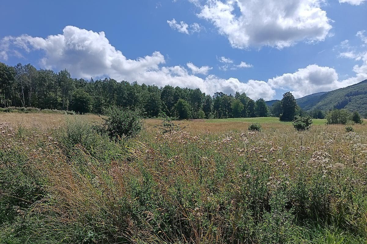 Rekreačný pozemok s panoramatickým výhľadom – Zemplínske Hámre — foto 3
