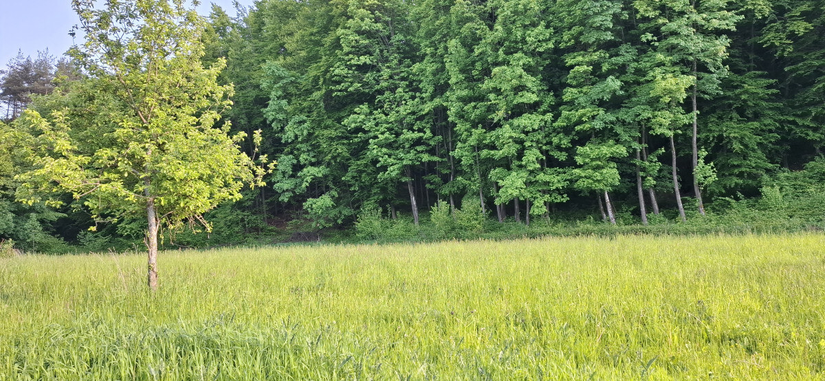 Stavebný pozemok pod lesom - ul. Jesenského — foto 3