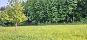Stavebný pozemok pod lesom - ul. Jesenského — foto 12