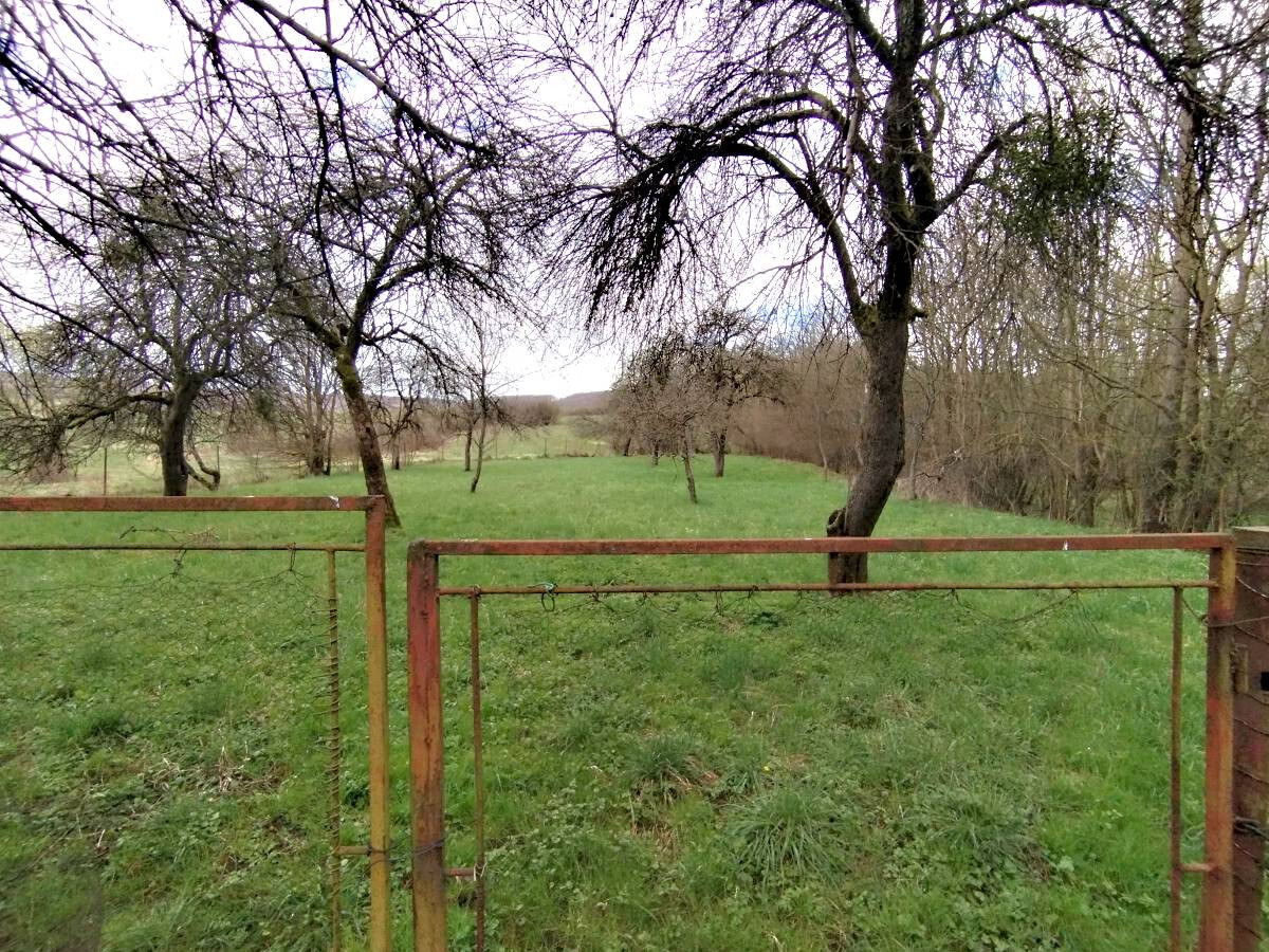 Chalupa na samote s dvoma  pozemkami – Pichne, okres Snina — foto 5
