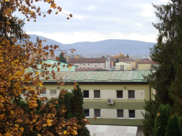 Predaný : 2-izbový byt — foto 10