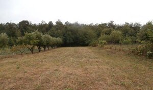 Predám stavebný pozemok v obci Obyce — foto 1