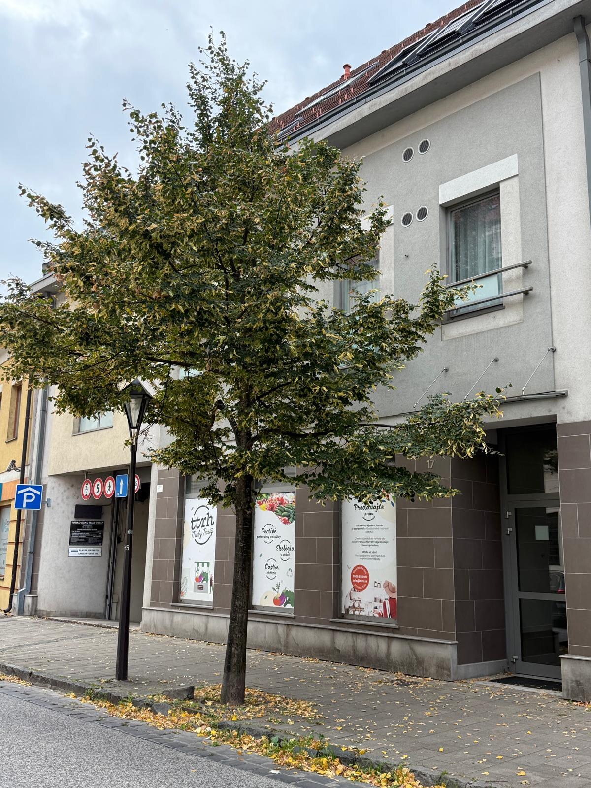 Na predaj veľký 1 izbový byt v úplnom centre mesta Trnava!
