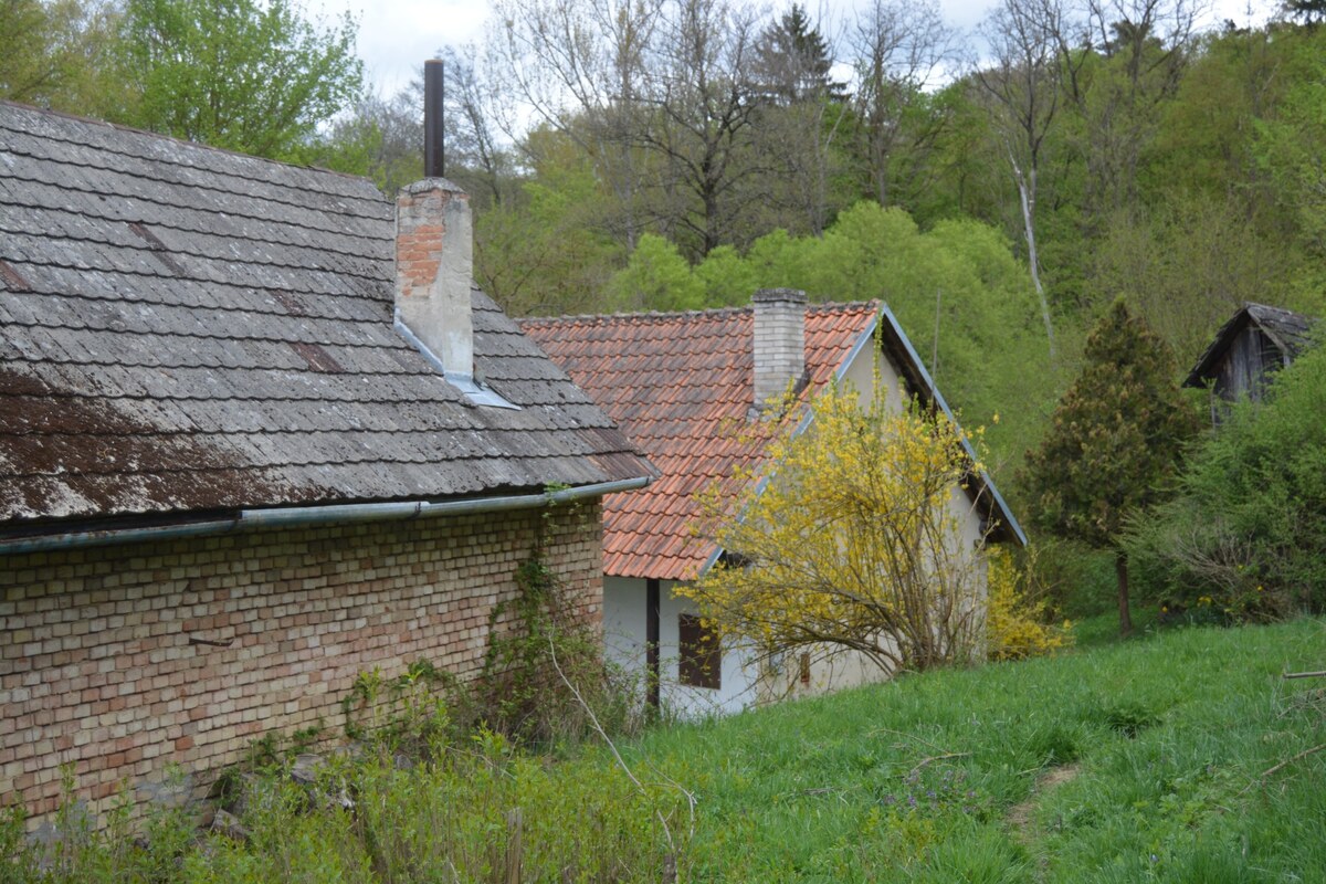 Autentická usadlosť u Dankovcov pre poľovníkov aj umelecké duše! — foto 12