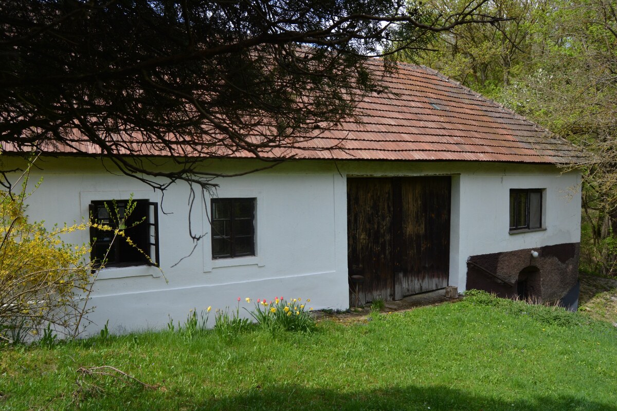 Autentická usadlosť u Dankovcov pre poľovníkov aj umelecké duše! — foto 2