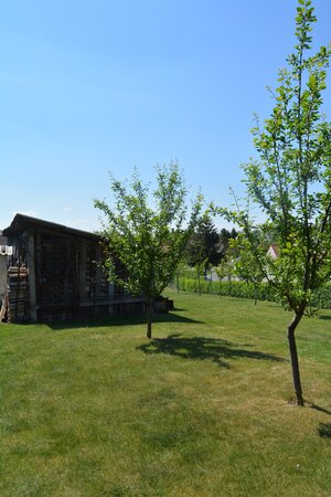 Vydiecký dom s veľkým  pozemkom a potenciálom, s drevom na kúrenie! — foto 18