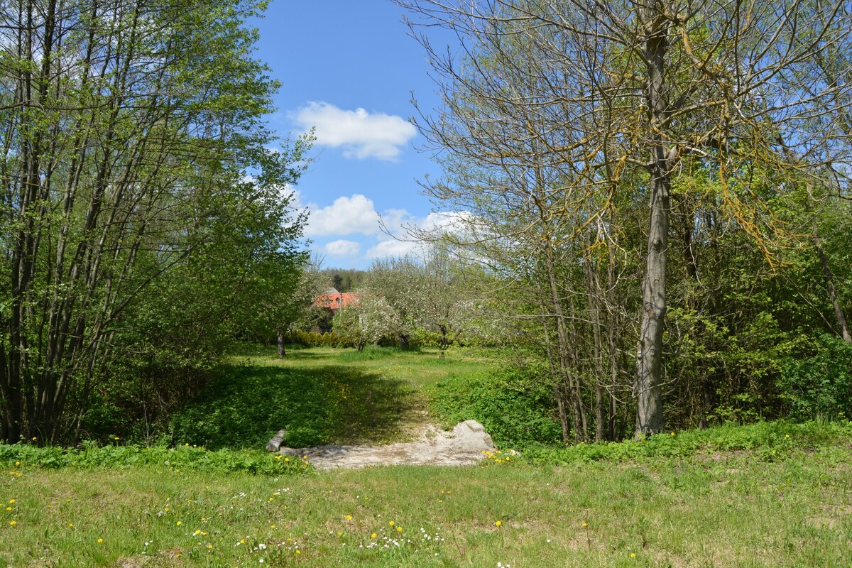 Zľava - Rekreačné a stavebné pozemky na Myjavských kopaniciach. — foto 4