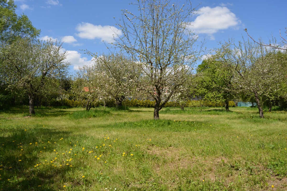 Zľava - Rekreačné a stavebné pozemky na Myjavských kopaniciach. — foto 5