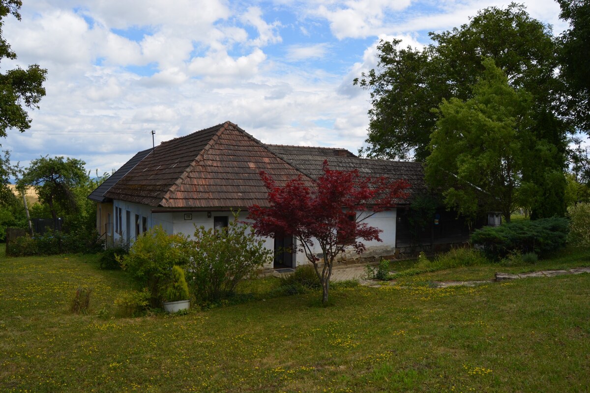 Chalúpka schúlená v okolitých ovocných sadoch! — foto 2