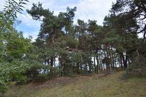 Výrazná zľava! RODINNÁ 2 GENERAČNÁ VILA POD LESOM NA ZÁHORÍ! — foto 17