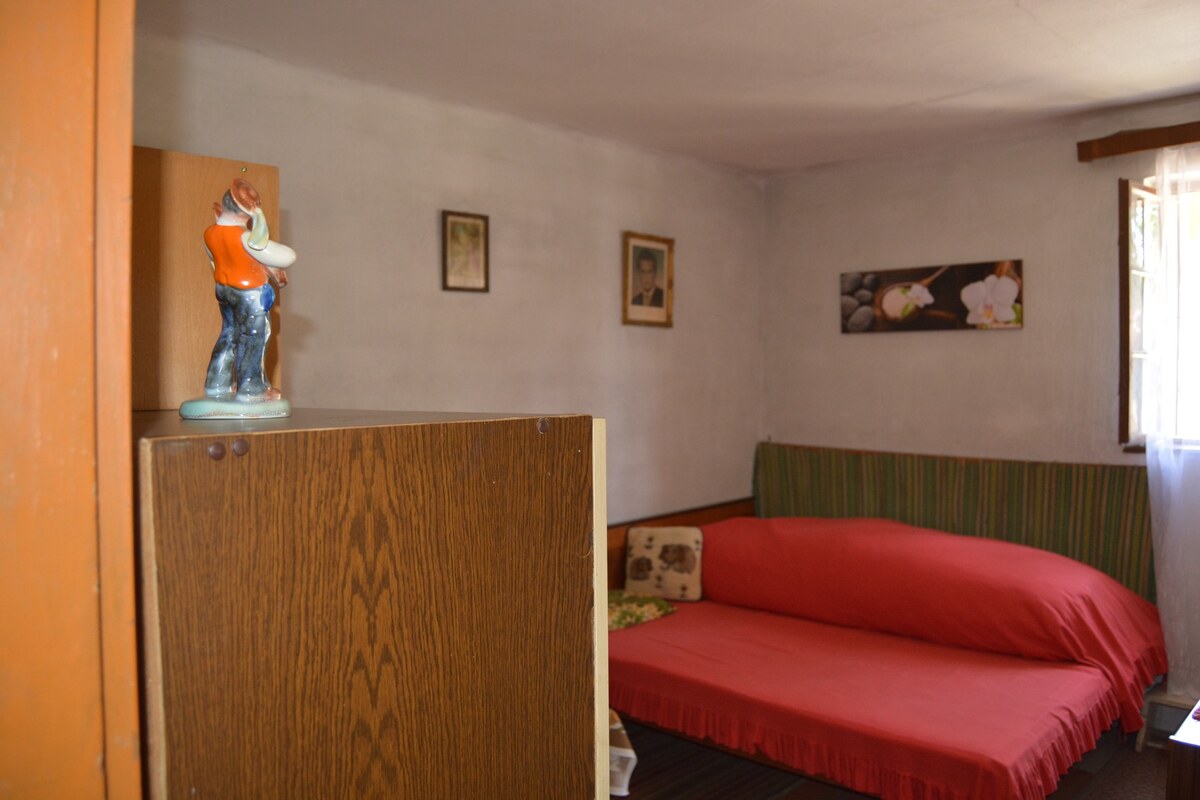Na predaj chalúpka v typickom štýle Záhoria, pod starou lipou! — foto 11