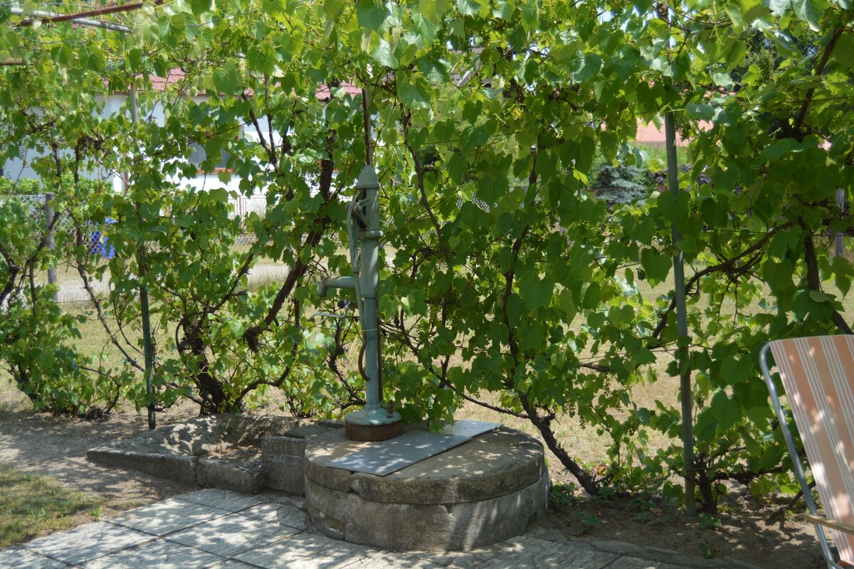 Na predaj chalúpka v typickom štýle Záhoria, pod starou lipou! — foto 15