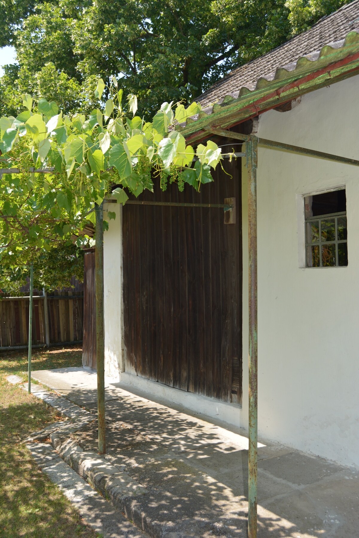 Na predaj chalúpka v typickom štýle Záhoria, pod starou lipou! — foto 5
