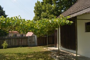 Na predaj chalúpka v typickom štýle Záhoria, pod starou lipou! — foto 8