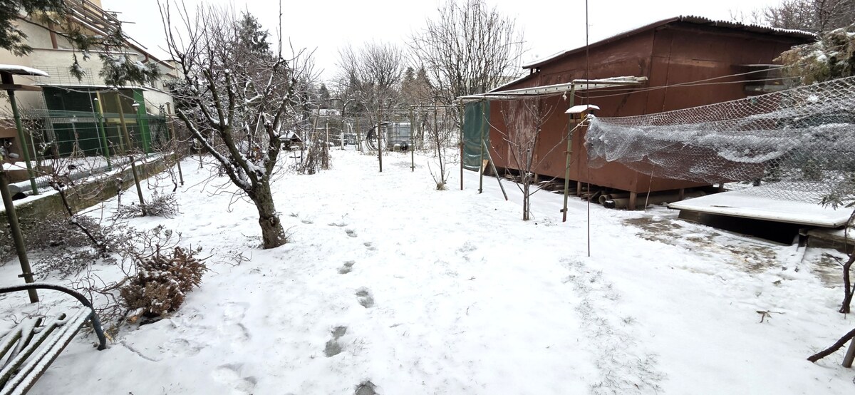 Na predaj 2 rodinné domy vhodné na bývanie i podnikanie, Trnava! — foto 14