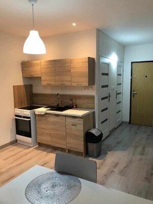 Prenajmem 1 izbový byt s loggiou v Nových Zámkoch — foto 4
