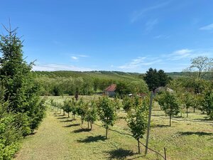Predám stavebný pozemok s ovocným sadom v obci Jasová — foto 1