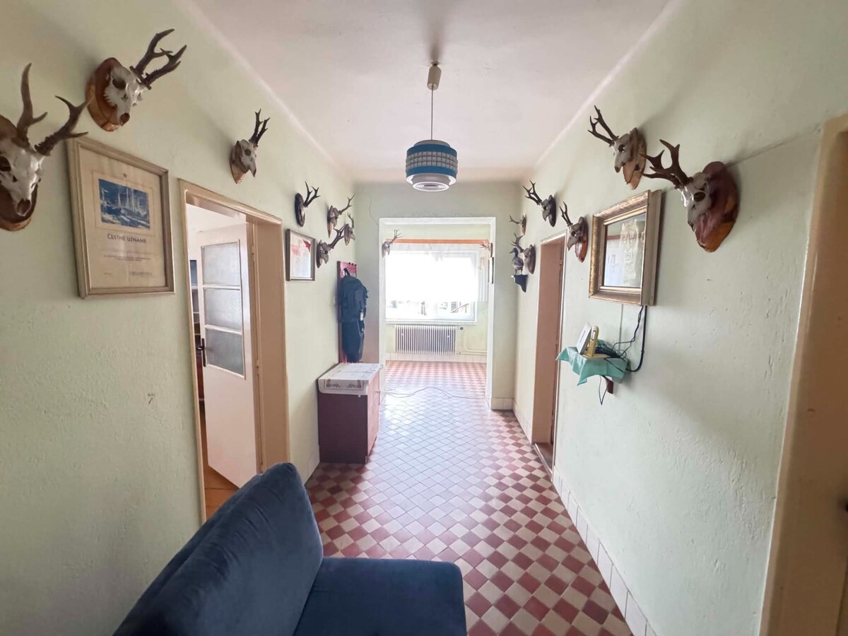 Predám rodinný dom s veľkým pozemkom v obci Černík — foto 10