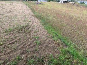 Predám pozemok v obci Imeľ — foto 3