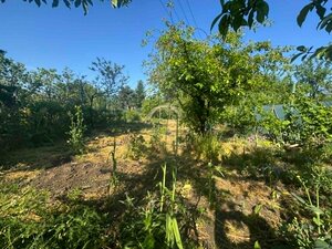 Predám murovanú chatu v Nových Zámkoch — foto 6