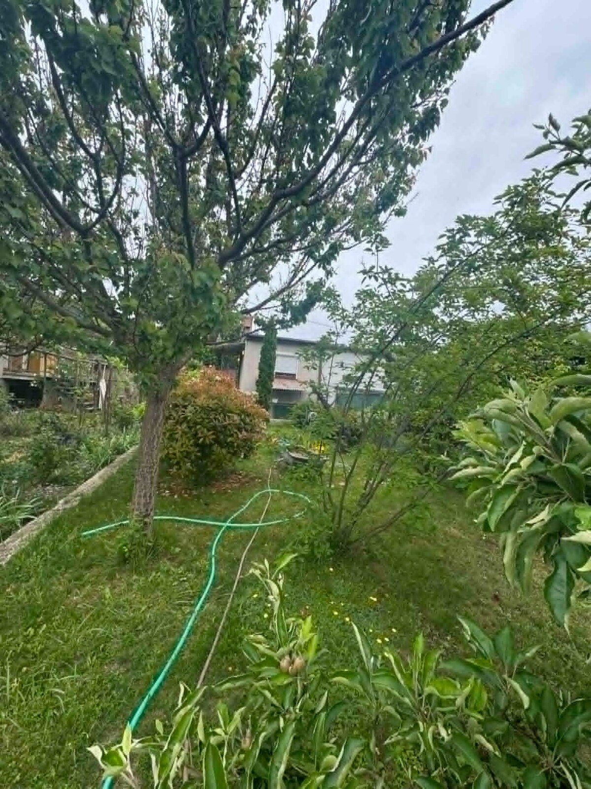 Predám murovanú chatu v Nových Zámkoch — foto 4