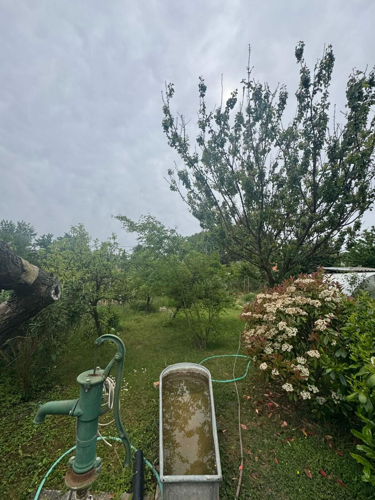 Predám murovanú chatu v Nových Zámkoch — foto 5