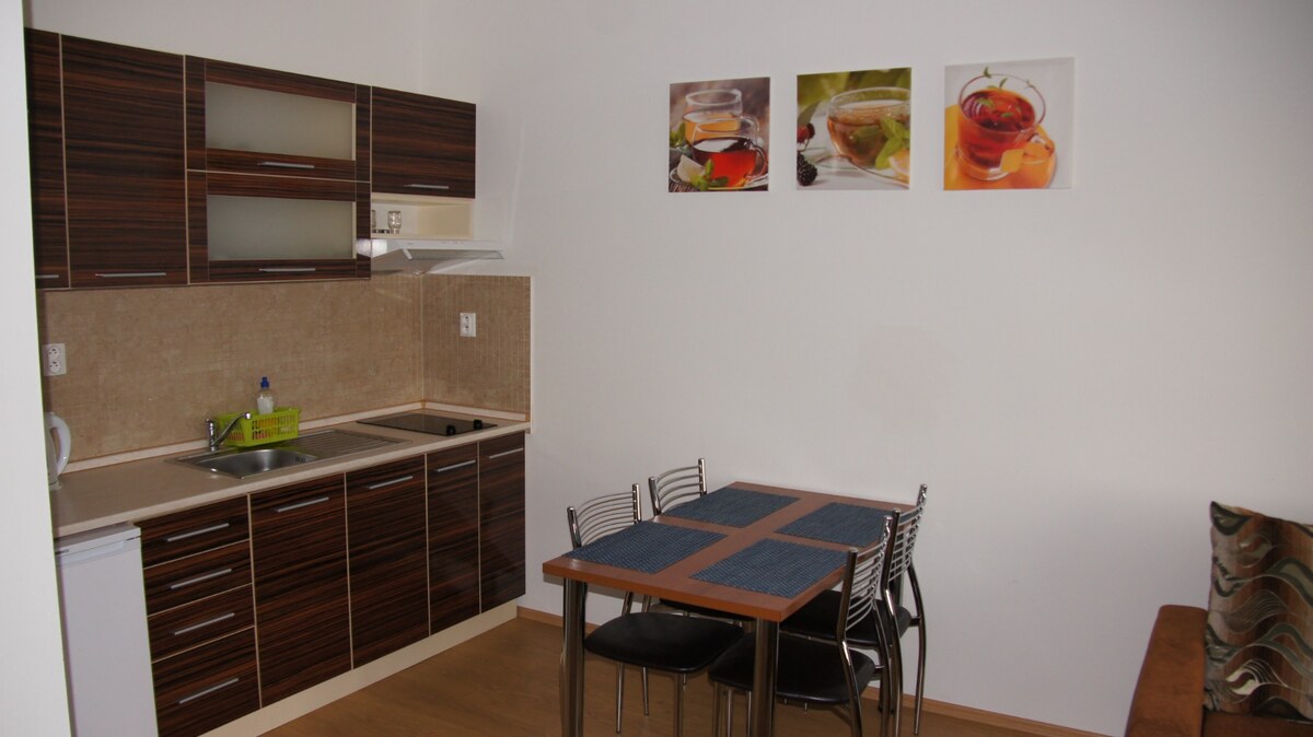 Predám apartmán 200m od termálneho kúpaliska v obci Podhájska — foto 5