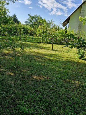 Predám chatu v Úľanoch nad Žitavou — foto 7