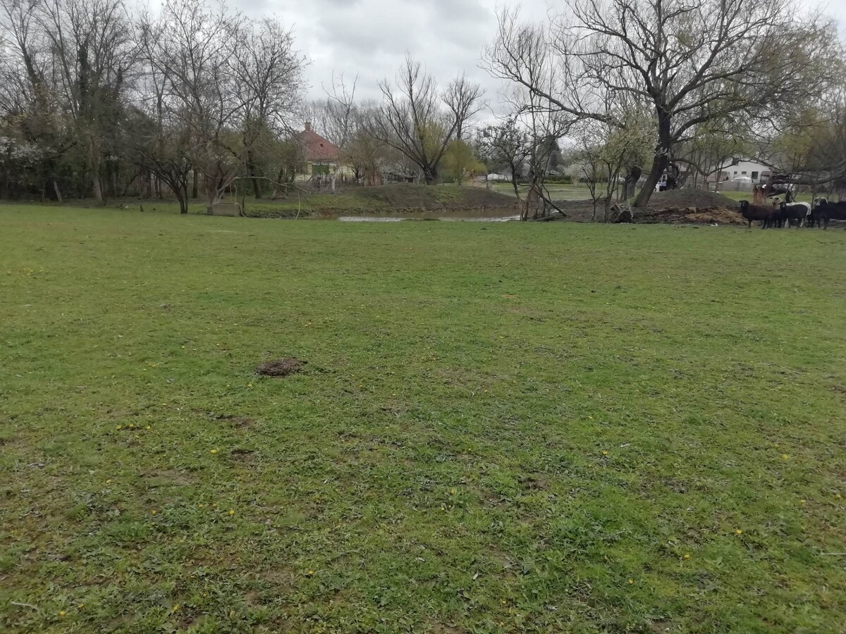 Predám pozemok v obci Martovce — foto 3