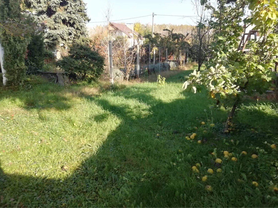 Predám chatu so záhradou v Kolárove — foto 4