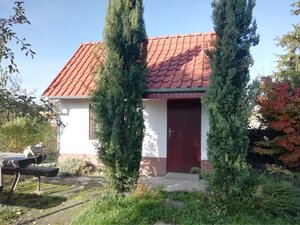 Predám chatu so záhradou v Kolárove — foto 1