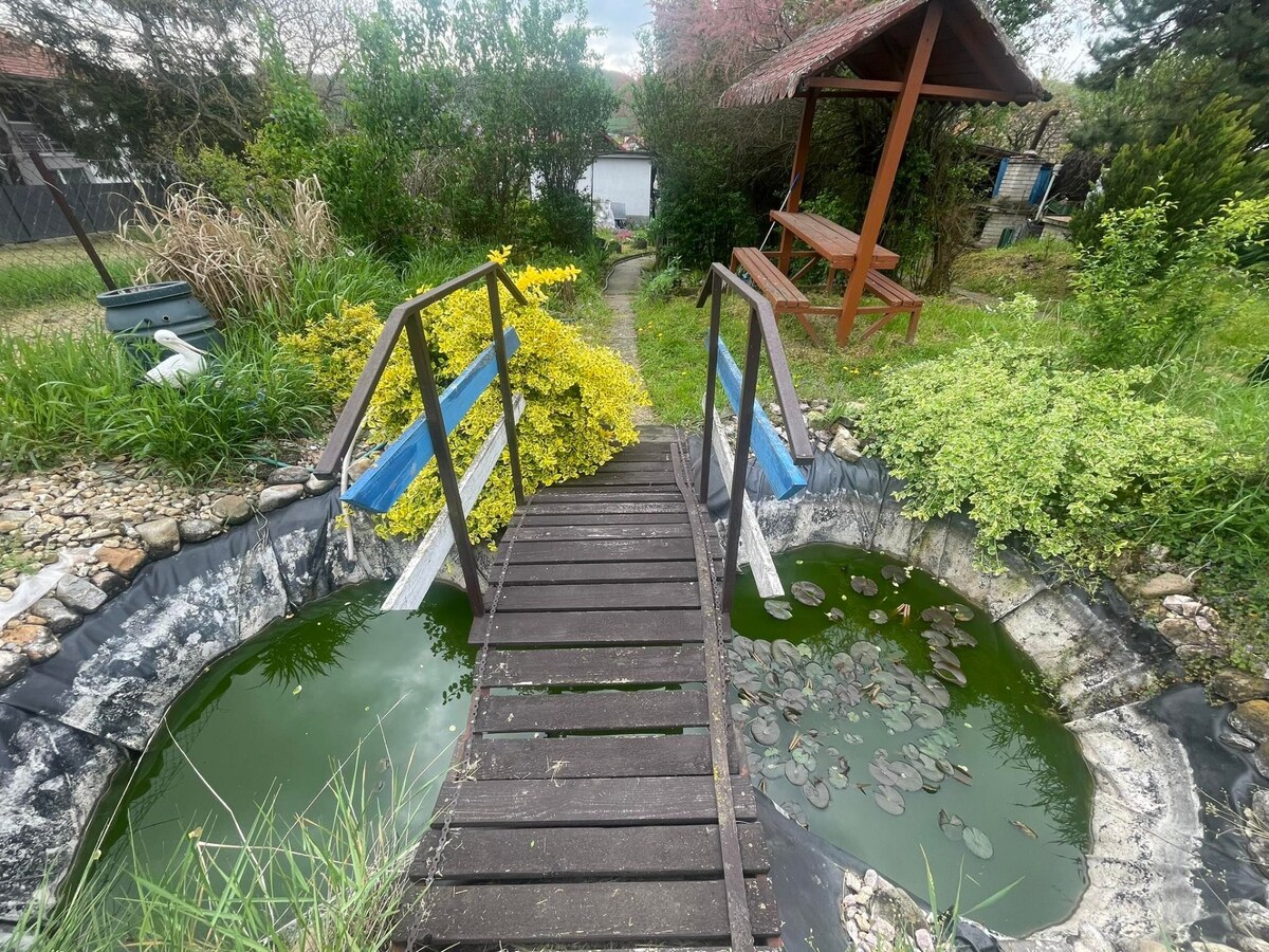 Predám apartmánový dom v obci Podhájska — foto 13