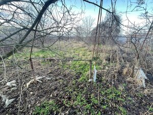 Predám rodinný dom s veľkým pozemkom v obci Imeľ — foto 9