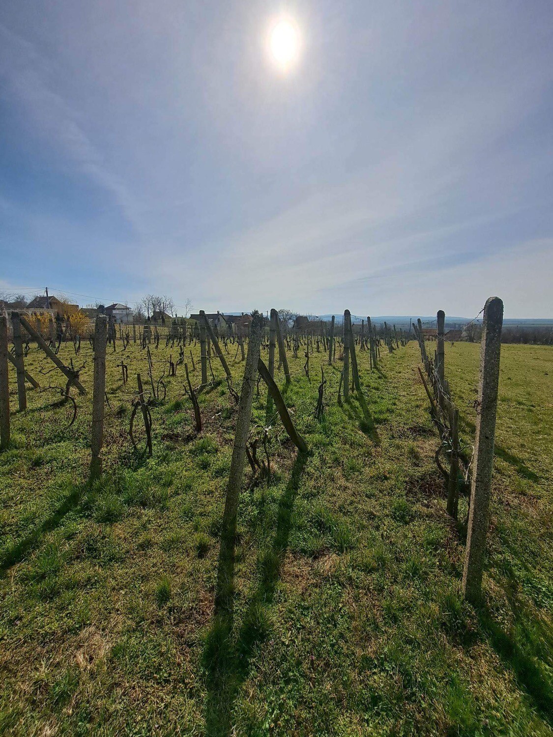 Predám chatu s vinicou v obci Gbelce — foto 12