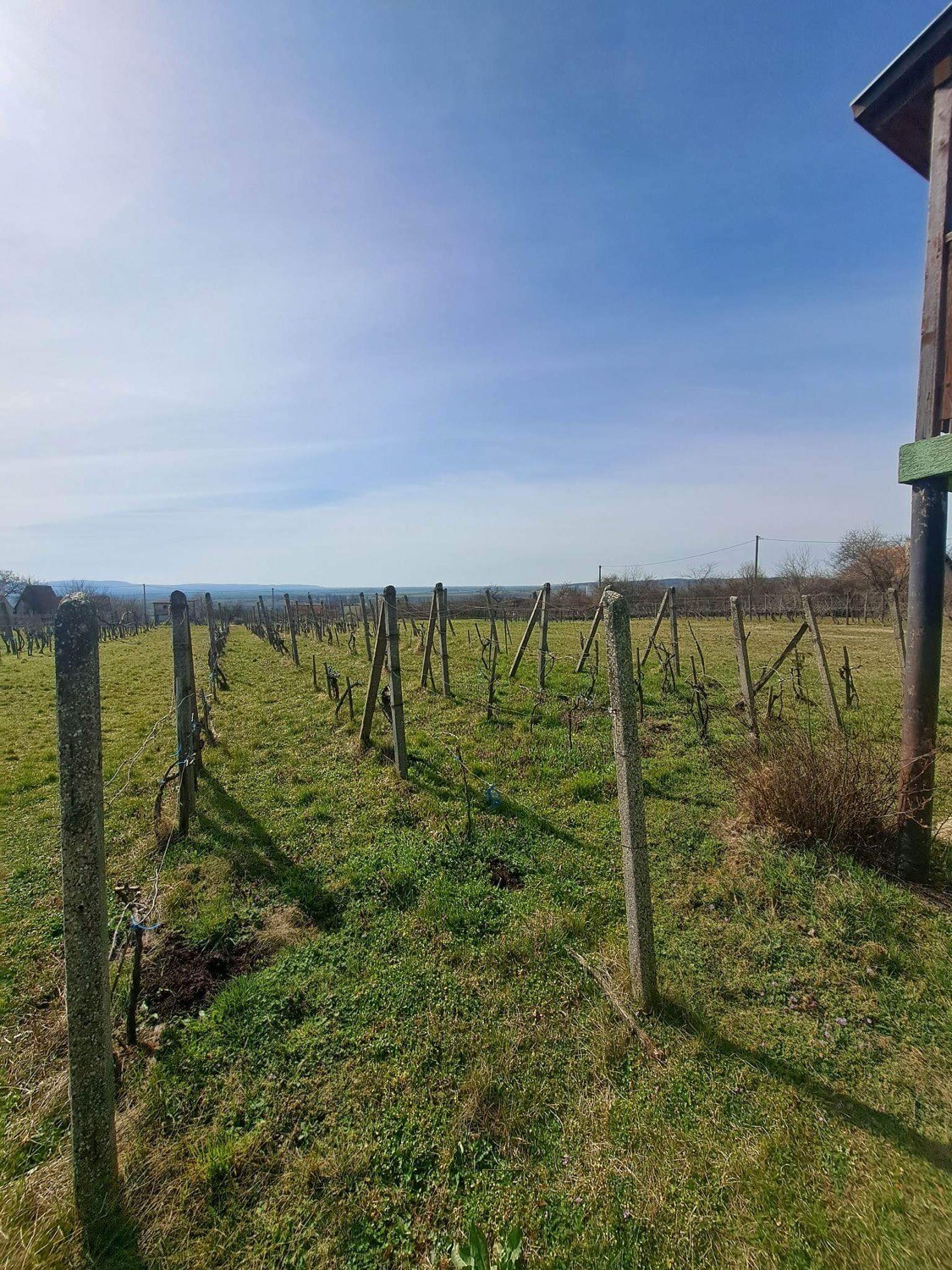 Predám chatu s vinicou v obci Gbelce — foto 13