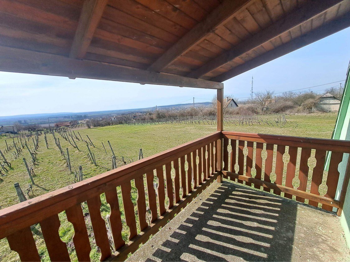 Predám chatu s vinicou v obci Gbelce — foto 6