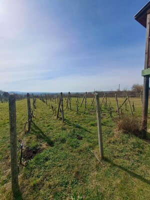 Predám chatu s vinicou v obci Gbelce — foto 13