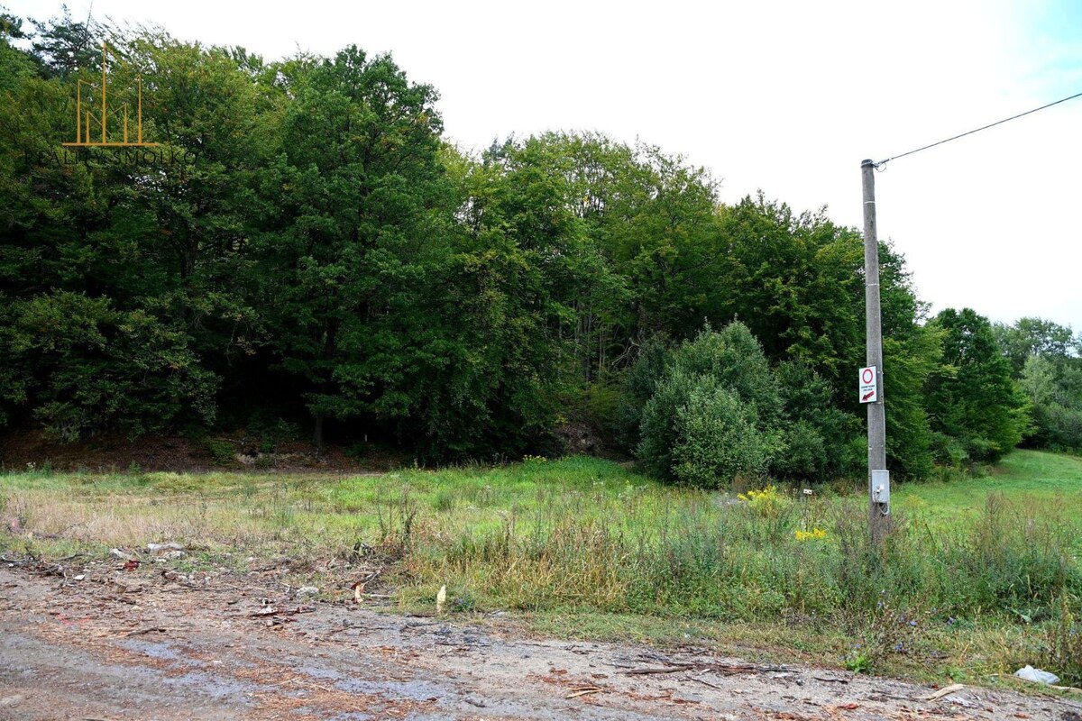 PREDÁM rekreačný pozemok - Vyšné Raslavice, okr. Bardejov — foto 5