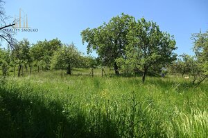 Na predaj - starší rodinný vidiecky dom v Miklušovciach — foto 20
