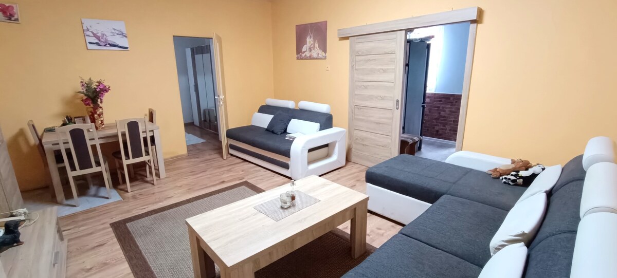 Na predaj: bývanie aj  podnikanie pod jednou strechou v Palárikove — foto 2