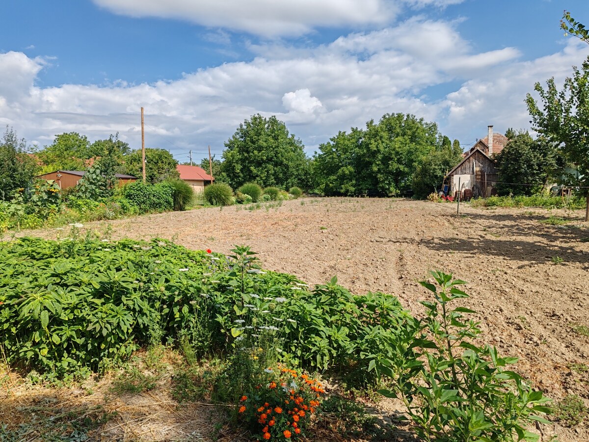 Pozemok s inžinierskymi sieťami na predaj v Martovciach