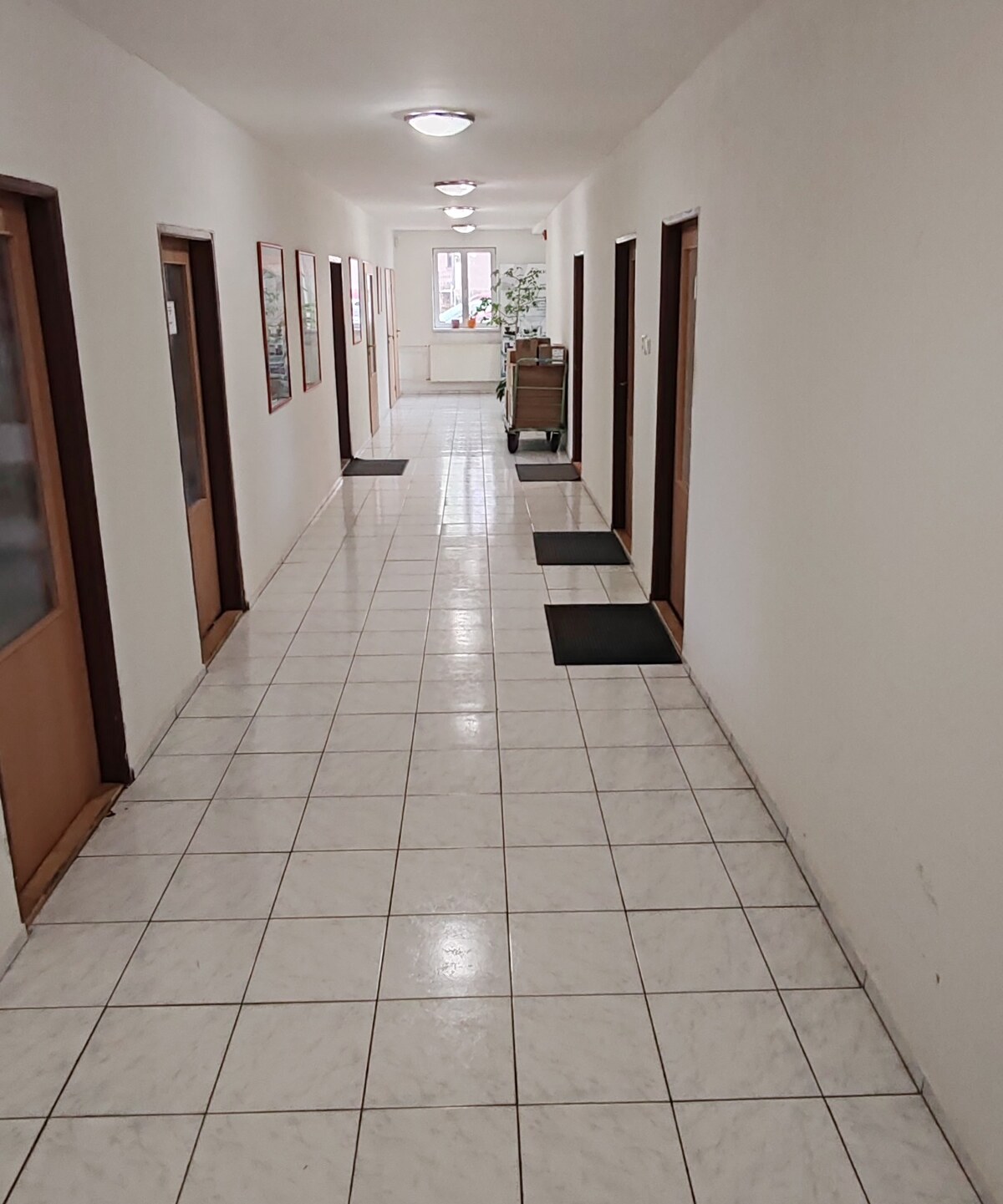 Komerčný objekt na predaj  v Komárne — foto 5