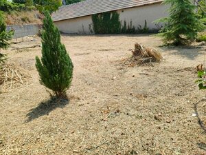 Iba u nás! Dom s pozemkom na predaj - Svätý Peter — foto 14