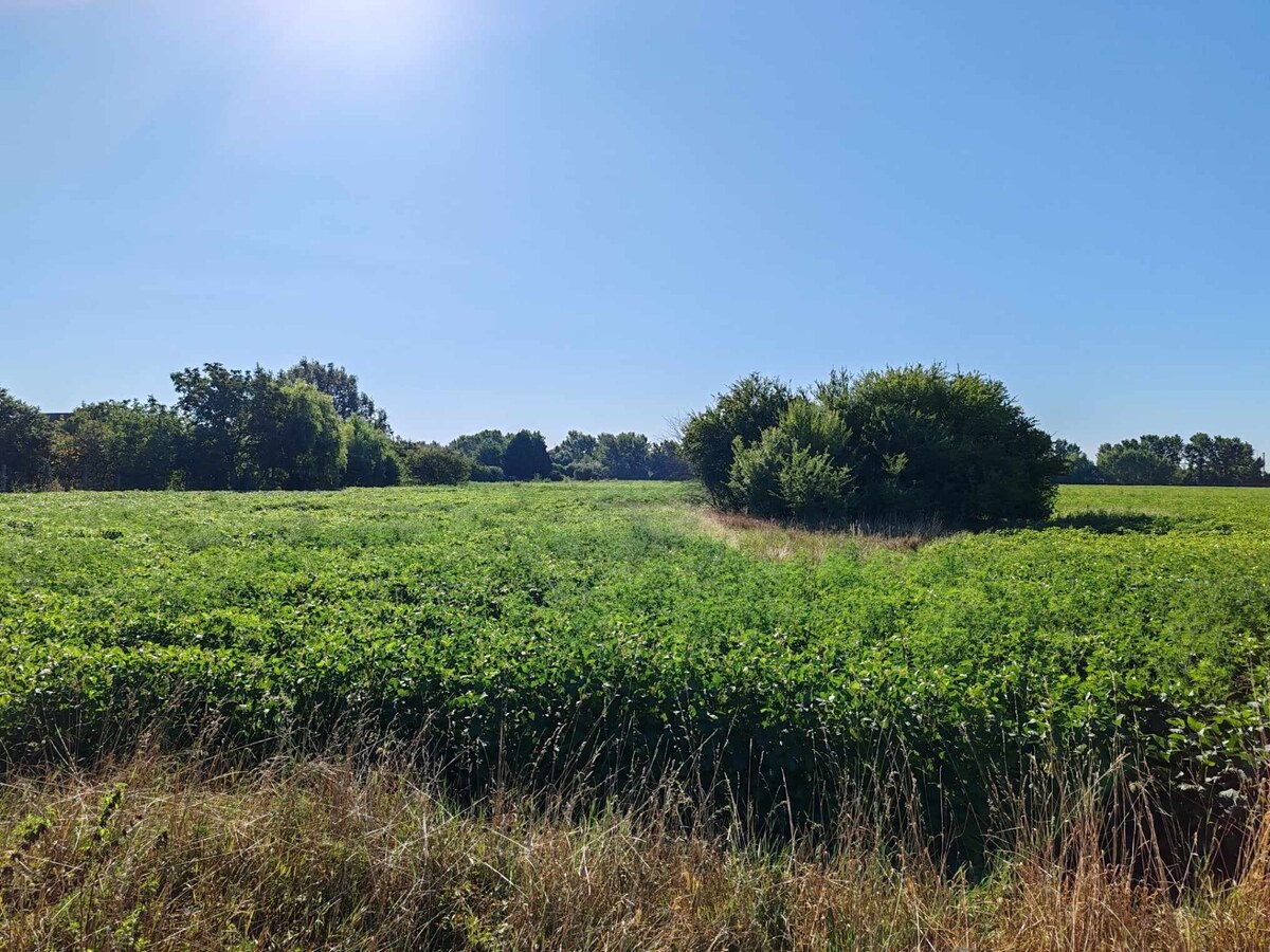 Veľký investičný pozemok na predaj pri Komárne — foto 2